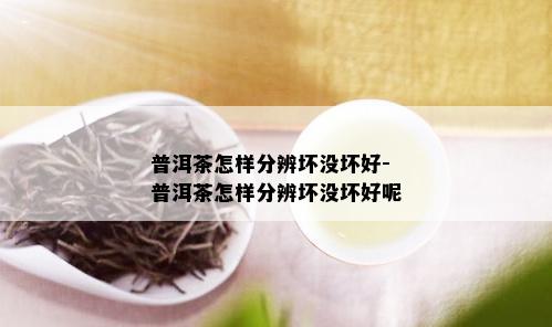 普洱茶怎样分辨坏没坏好-普洱茶怎样分辨坏没坏好呢