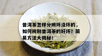 普洱茶怎样分辨坏没坏的，如何辨别普洱茶的好坏？简易方法大揭秘！