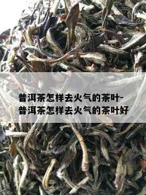 普洱茶怎样去火气的茶叶-普洱茶怎样去火气的茶叶好