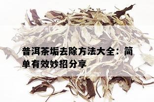 普洱茶垢去除方法大全：简单有效妙招分享