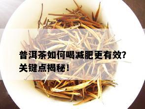 普洱茶如何喝减肥更有效？关键点揭秘！