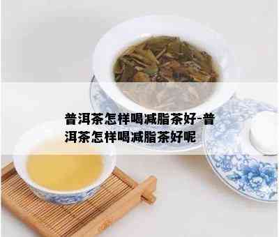 普洱茶怎样喝减脂茶好-普洱茶怎样喝减脂茶好呢