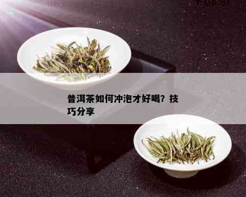 普洱茶如何冲泡才好喝？技巧分享