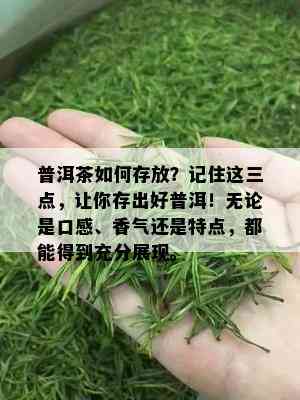 普洱茶如何存放？记住这三点，让你存出好普洱！无论是口感、香气还是特点，都能得到充分展现。