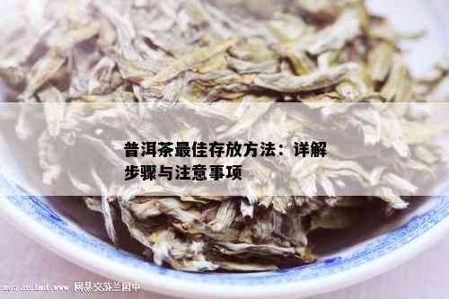 普洱茶更佳存放方法：详解步骤与注意事项