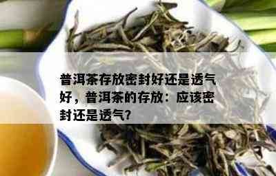 普洱茶存放密封好还是透气好，普洱茶的存放：应该密封还是透气？