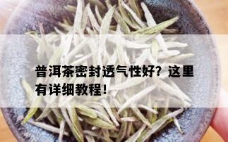 普洱茶密封透气性好？这里有详细教程！