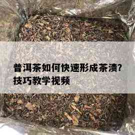 普洱茶如何快速形成茶渍？技巧教学视频