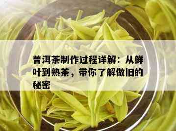 普洱茶制作过程详解：从鲜叶到熟茶，带你了解做旧的秘密