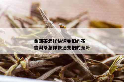 普洱茶怎样快速变旧的茶-普洱茶怎样快速变旧的茶叶