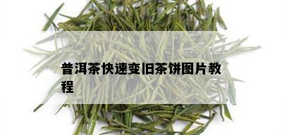 普洱茶快速变旧茶饼图片教程