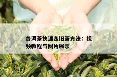 普洱茶快速变旧茶方法：视频教程与图片展示