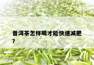 普洱茶怎样喝才能快速减肥？