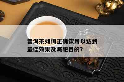 普洱茶如何正确饮用以达到更佳效果及减肥目的？