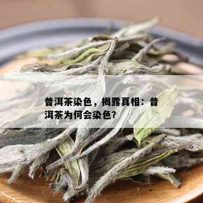 普洱茶染色，揭露真相：普洱茶为何会染色？