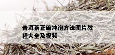 普洱茶正确冲泡方法图片教程大全及视频