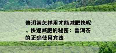 普洱茶怎样用才能减肥快呢，快速减肥的秘密：普洱茶的正确使用方法