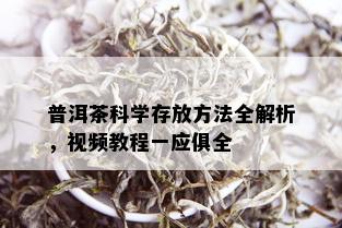 普洱茶科学存放方法全解析，视频教程一应俱全