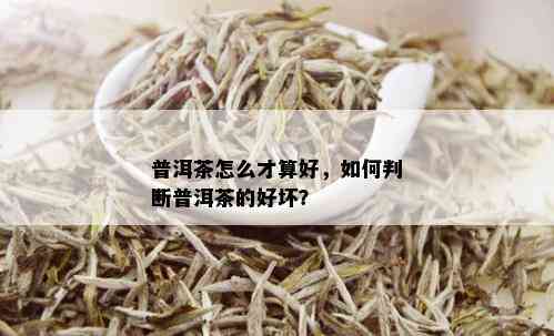 普洱茶怎么才算好，如何判断普洱茶的好坏？