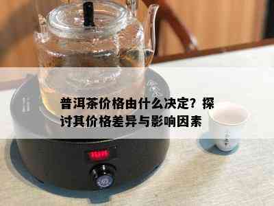 普洱茶价格由什么决定？探讨其价格差异与影响因素