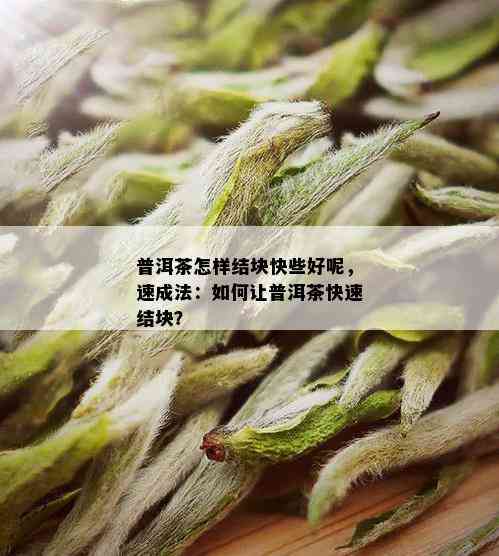 普洱茶怎样结块快些好呢，速成法：如何让普洱茶快速结块？