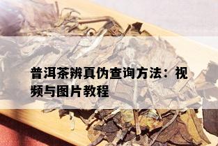 普洱茶辨真伪查询方法：视频与图片教程