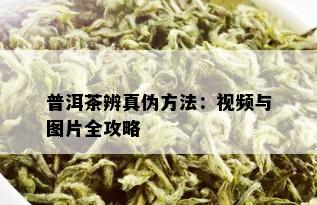 普洱茶辨真伪方法：视频与图片全攻略