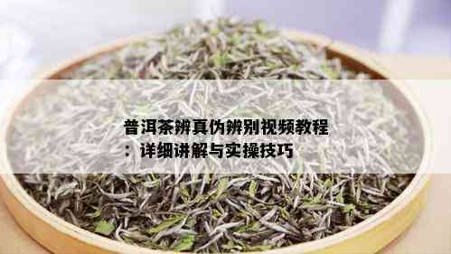 普洱茶辨真伪辨别视频教程：详细讲解与实操技巧