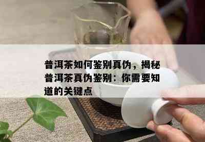 普洱茶如何鉴别真伪，揭秘普洱茶真伪鉴别：你需要知道的关键点