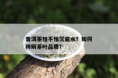 普洱茶怕不怕沉底水？如何辨别茶叶品质？