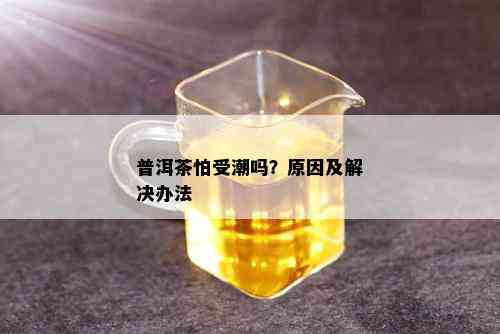 普洱茶怕受潮吗？原因及解决办法