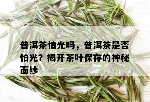 普洱茶怕光吗，普洱茶是否怕光？揭开茶叶保存的神秘面纱