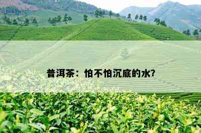 普洱茶：怕不怕沉底的水？