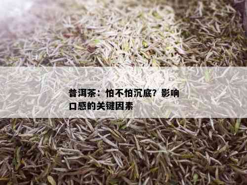 普洱茶：怕不怕沉底？影响口感的关键因素