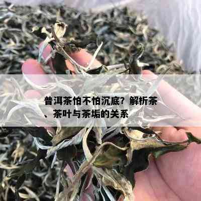 普洱茶怕不怕沉底？解析茶、茶叶与茶垢的关系