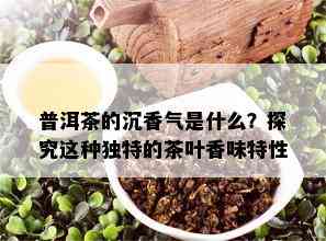 普洱茶的沉香气是什么？探究这种独特的茶叶香味特性