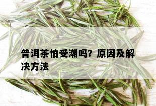 普洱茶怕受潮吗？原因及解决方法