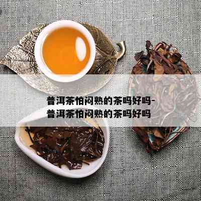 普洱茶怕闷熟的茶吗好吗-普洱茶怕闷熟的茶吗好吗