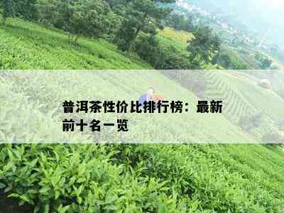 普洱茶性价比排行榜：最新前十名一览