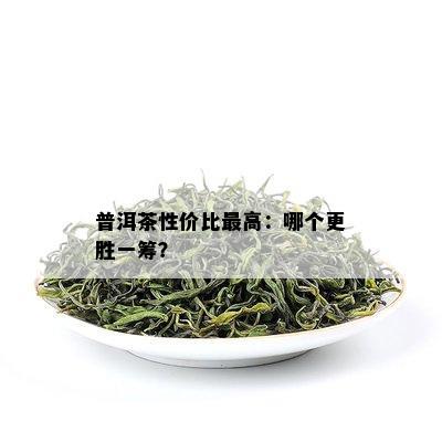 普洱茶性价比更高：哪个更胜一筹？