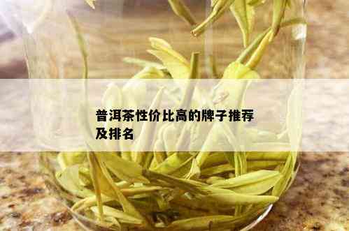 普洱茶性价比高的牌子推荐及排名