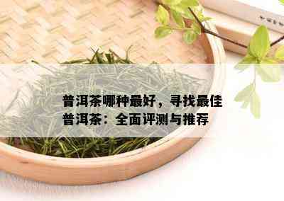 普洱茶哪种更好，寻找更佳普洱茶：全面评测与推荐