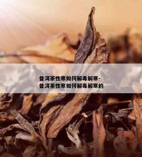 普洱茶性寒如何解解寒-普洱茶性寒如何解解寒的