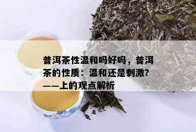 普洱茶性温和吗好吗，普洱茶的性质：温和还是 *** ？——上的观点解析