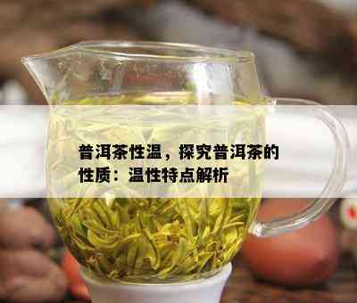 普洱茶性温，探究普洱茶的性质：温性特点解析