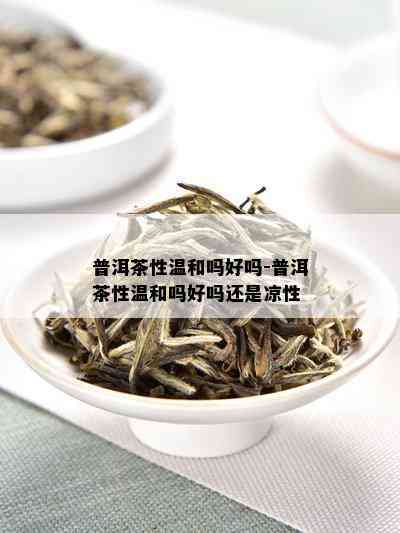 普洱茶性温和吗好吗-普洱茶性温和吗好吗还是凉性