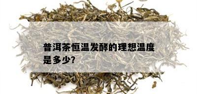 普洱茶恒温发酵的理想温度是多少？