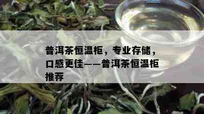 普洱茶恒温柜，专业存储，口感更佳——普洱茶恒温柜推荐