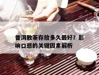 普洱散茶存放多久更好？影响口感的关键因素解析