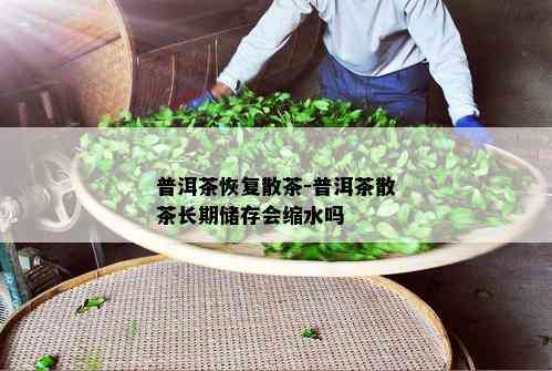 普洱茶恢复散茶-普洱茶散茶长期储存会缩水吗